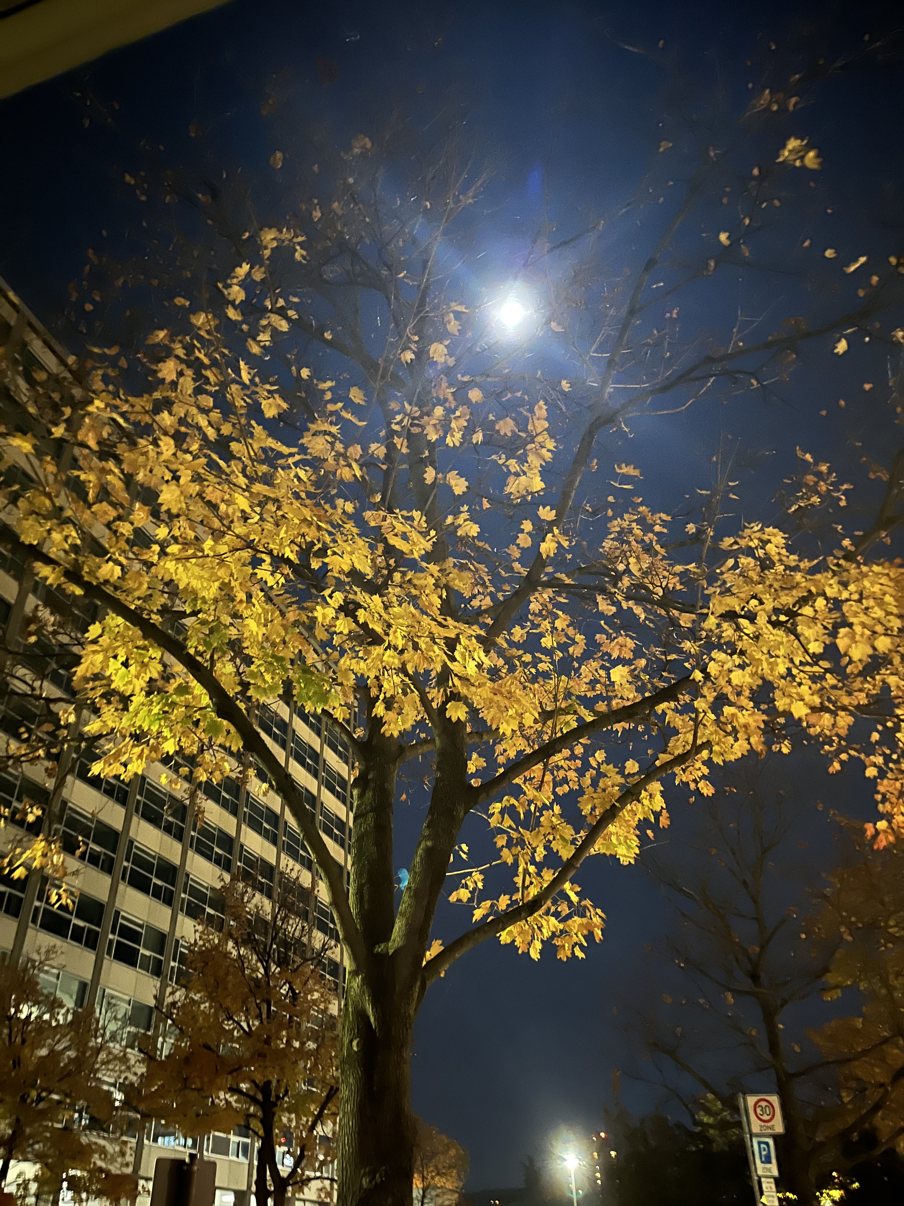 A night of work... outside the institute