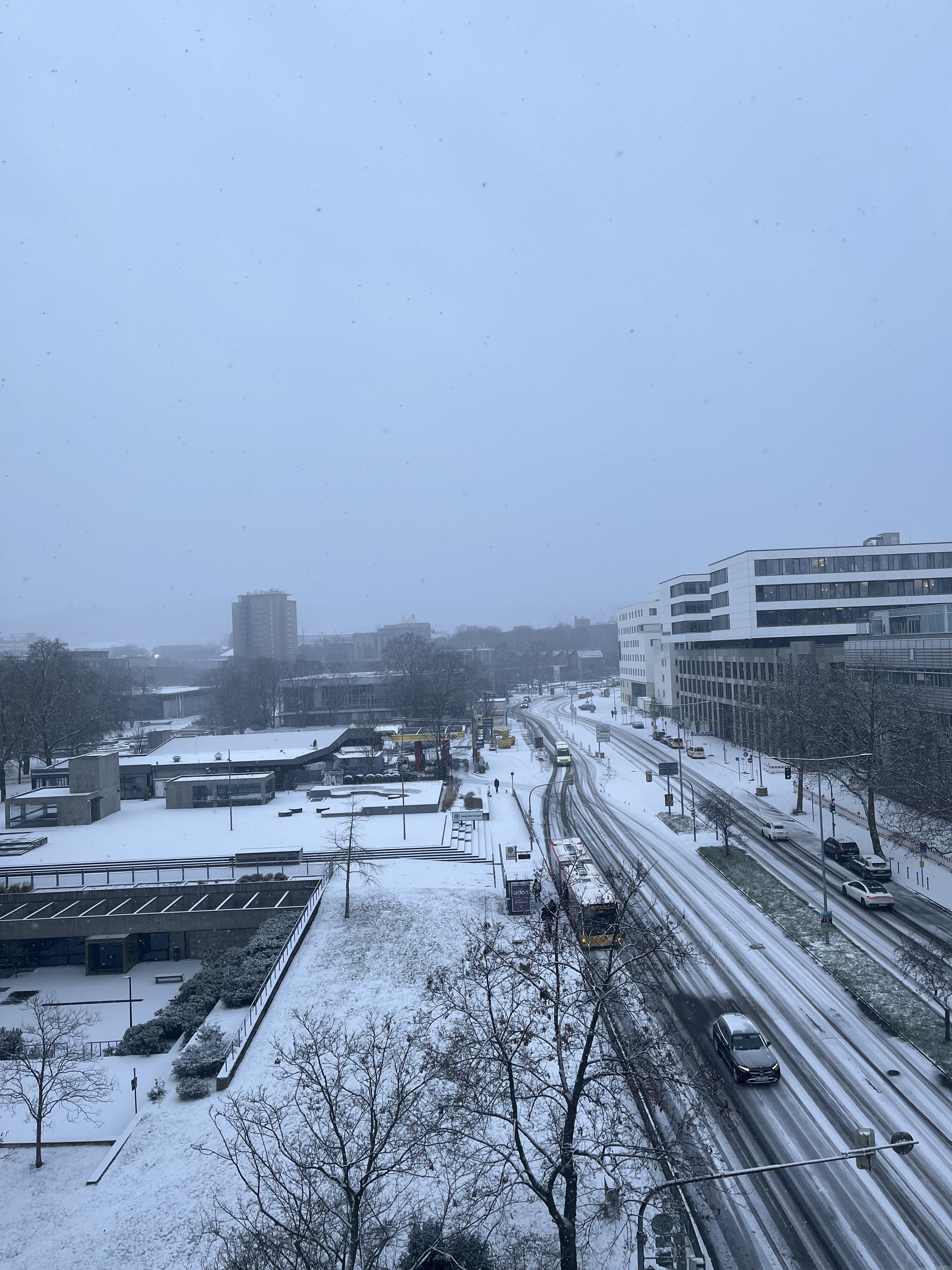 First time experiencing snow